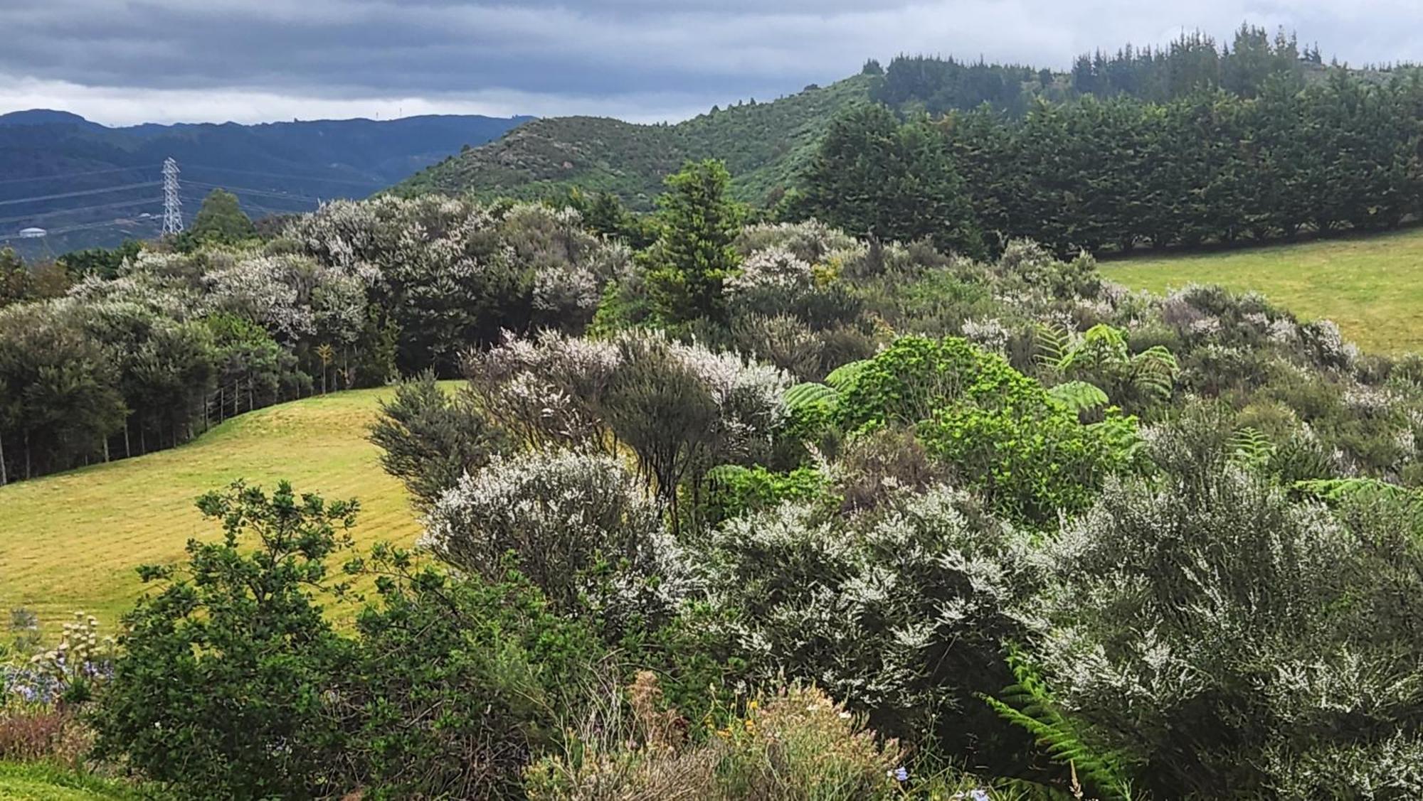 Boutique Art Retreat Hotel Upper Hutt Bagian luar foto
