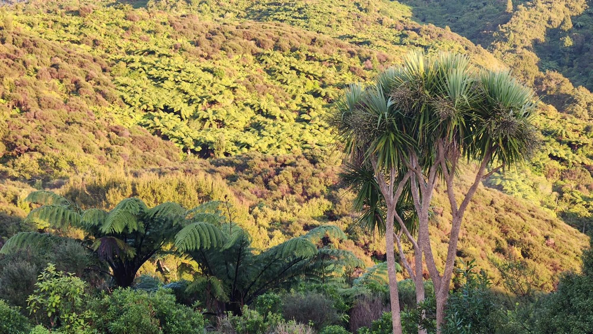 Boutique Art Retreat Hotel Upper Hutt Bagian luar foto